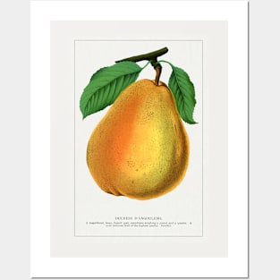 Duchess D'Angouleme pear lithograph (1900) Posters and Art